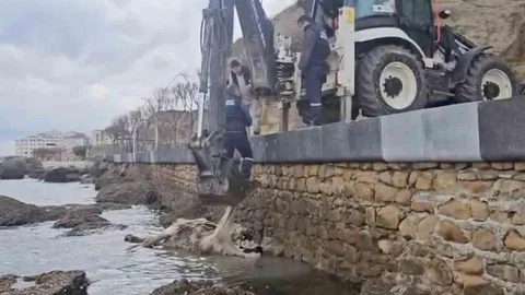 Gelibolu'da Ölü İnek Olayı