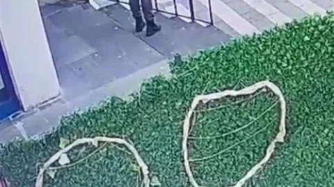 Kedinin Çuvala Konulmasına Tepki Gösterildi