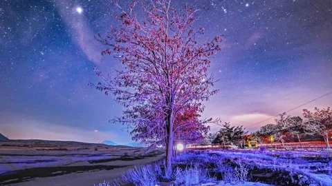 Bitlis'te Kış Geceleri Yıldızlarla Buluşuyor