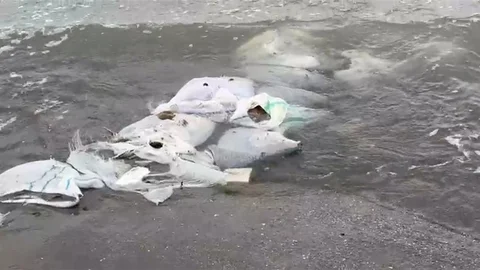 Samsun'un Sahilinde İnşaat Malzemesi Bulundu