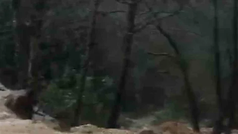 Alanya'da Sağanak Sonrası Taşkın Hasara Neden Oldu