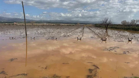 Manisa'da Taşkın Olayı Yaşandı