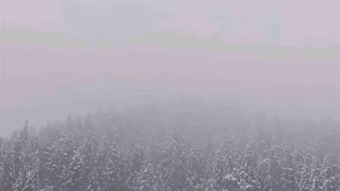 Ilgaz Dağı'nda Kar Yağışı Başladı