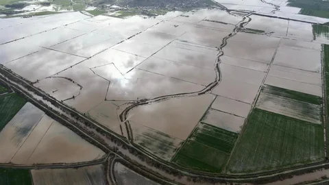 Büyük Menderes Nehri'nde Su Seviyesi Yükseldi