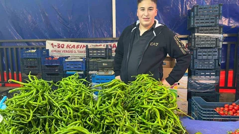 Bursa'da Biber ve Salatalık Fiyatları Yükseldi