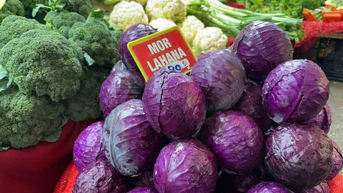 Bursa'da Karalahanada Fiyat Sorunu