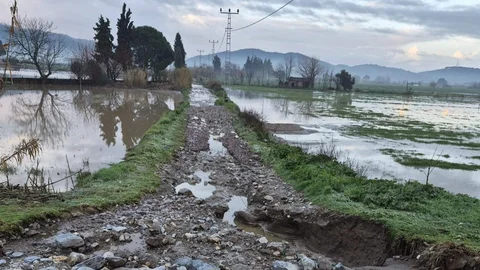 Söke'de Tarım Alanlarında Hasar Tespiti