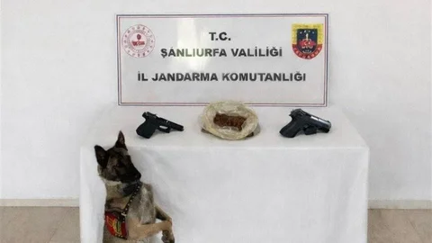 Eyyübiye'de Uyuşturucu Operasyonu Yapıldı