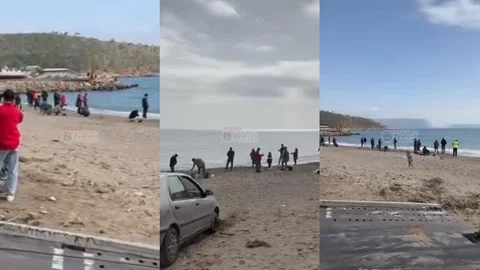 Çiftlik Kafesi Zarar Gördü, Çipuralar Kaçtı: Gülnar Sahilleri Balıkçı Akınına Uğradı!