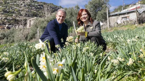 Mersin'de Nergis Şenliği Coşkusu