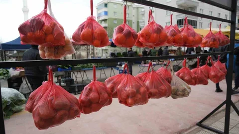 Samsun'da Dayanışma Projesi
