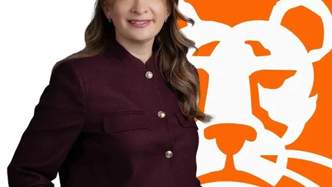 ING Türkiye'de Üst Düzey Atama Gerçekleşti