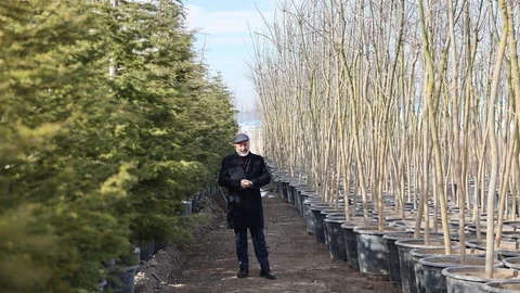 Kocasinan'da Yeşil Alan Projeleri Devam Ediyor