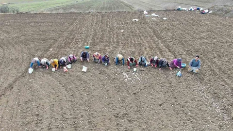 Kastamonu'da Annenin Fedakarlığı ve Çocukları İçin Mücadelesi