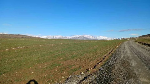 Diyarbakır Kulp'ta Yağışlar Çiftçilerin Umudunu Artırdı