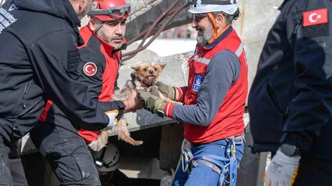 İzmir'de Hayvan Kurtarma Eğitimi Verildi