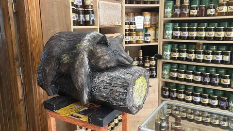 Düzce'de Viral Ayı Dekoru Satışları Artırdı