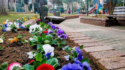 Efeler'de Çiçek Düzenlemesi Yapıldı