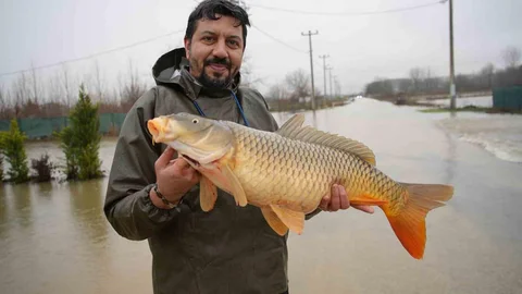 Edirne'de Taşkın Sonrası Balık Yakalama