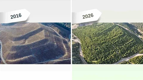 Maden Sahaları Yeniden Yeşeriyor