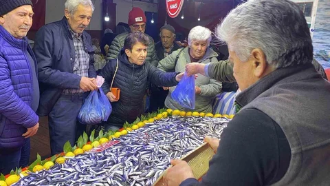 Bolu'da Hamsi Bolluğu Yaşanıyor