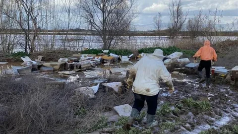 Salihli'de Arı Kovanları Sele Kapıldı