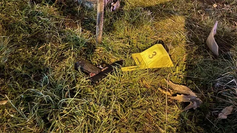 Diyarbakır'da Silahlı Saldırı Gerçekleşti