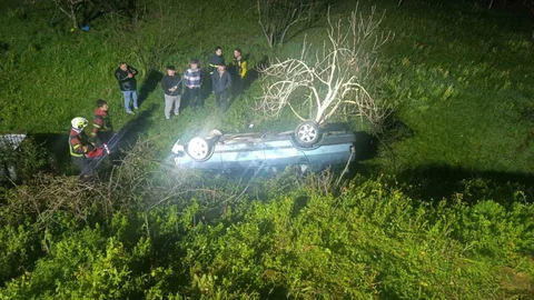 Aydın'da Domuza Çarpan Araç Uçuruma Yuvarlandı