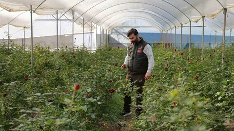 Adana'da Gül Fiyatları Yükseldi