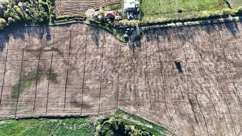 Samsun'da Fidan Üretimi Artıyor