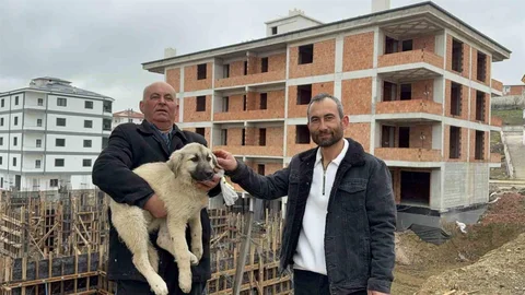 Baba Oğul Yavru Köpeği Kurtardı