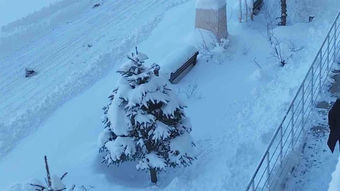 Erciş'te Kar Yağışı Etkili Oldu