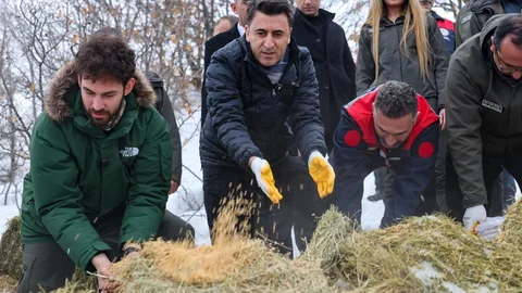 Tunceli'de Yaban Hayvanları İçin Yemleme Çalışması