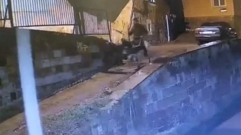Kayseri'de Eşekle Kaçan Hırsız Yakalandı