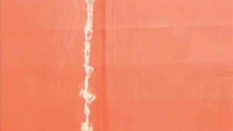 Yalova'da deniz kirliliğine ceza verildi