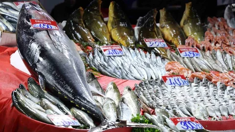 Elazığ Kapalı Çarşı’da Dev Orkinos Satışta