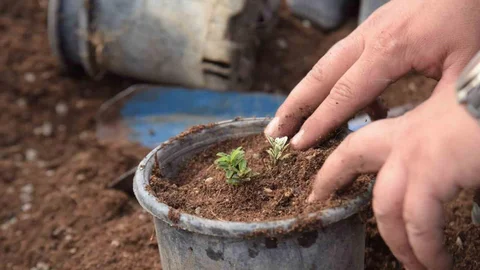 Bilecik'te Park ve Bahçe Çalışmaları