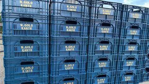 Antalya'da Domates Üreticisinin Kante Sevgisi