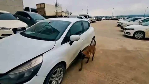 Yalova'da Uyuşturucu Operasyonu Yapıldı