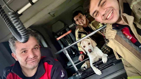 Umuda uzanan eller: İtfaiye köpeği kurtardı