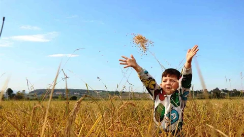 Samsun'da Tarımsal Destek Ödemesi Yapıldı