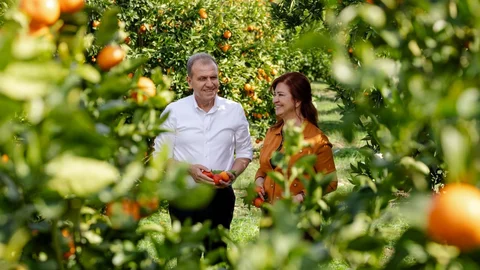 Kadın Üreticilere Destek: " Hamzabeyli Köyümüz Atölye Açılışı", Seçer Çiftiyle Coşkulu Gerçekleşti