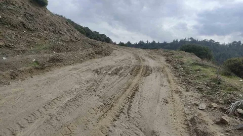 Denizli'de Öğrencilerin Yolu Açıldı