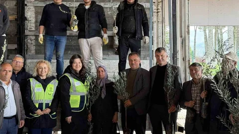 Beyağaç’ta Zeytin Fidanı Dağıtımı Yapıldı
