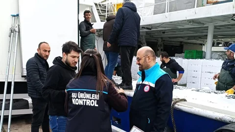 Kırklareli'de Hamsi Sevkiyat Denetimi