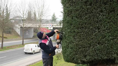 Düzce'de Bahar Hazırlıkları Başladı