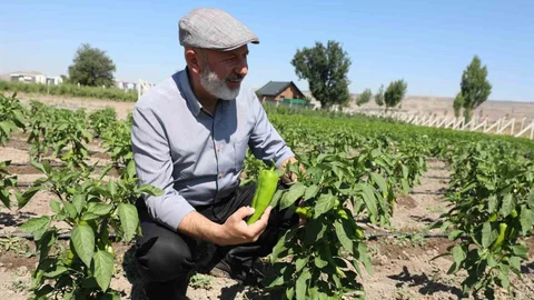 Kocasinan'da Üreticilere Tohum Desteği
