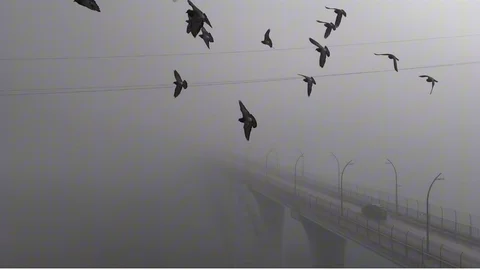 Karabük'te Yoğun Sis Görüntülendi