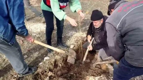 Kütahya'da Tuz Çalısı Projesi Başladı
