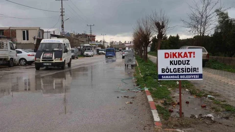 Hatay'da Kuduz Karantinası Uygulaması